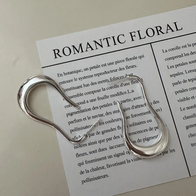 S925 Sterling Silver Korean Version Niche Design Sense Fashion Heavy Industry Retro Earrings Korean Simple Commuter Ear Jewelry - Image 5