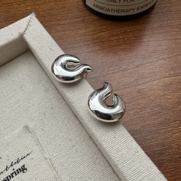 S925 Sterling Silver Niche Design Sense Conch Earrings Korean Style Heavy Industry Personalized Wholesale