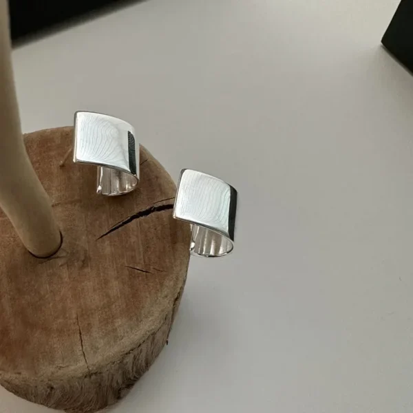 S925 Sterling Silver Korean Niche Design Photosensitive Surface Earrings Fashionable and Simple Personalized Ear Jewelry